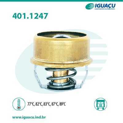 Valvula Termostatica Ford Del ReY Pampa 87/99 84AU8575B