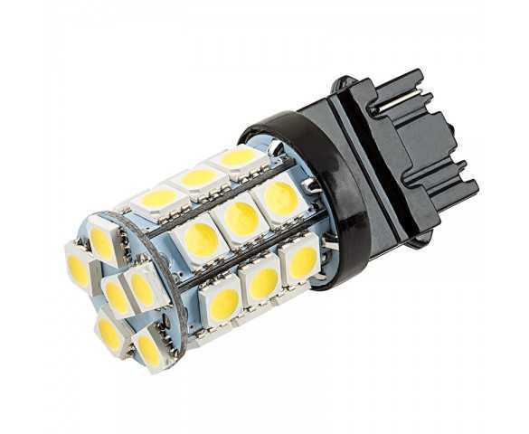 LED 3156 Super Pingao Ranger 1 Polo