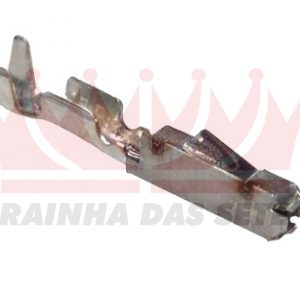 Carrinho