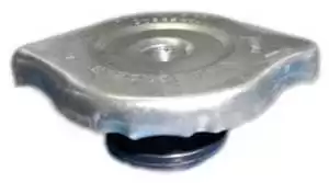 TAMPA RADIADOR P/ GOL/VOYAGE/PARATI SAVEIRO 74/86 13/ FL011